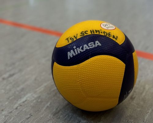 Volleyball Saison 2024/25